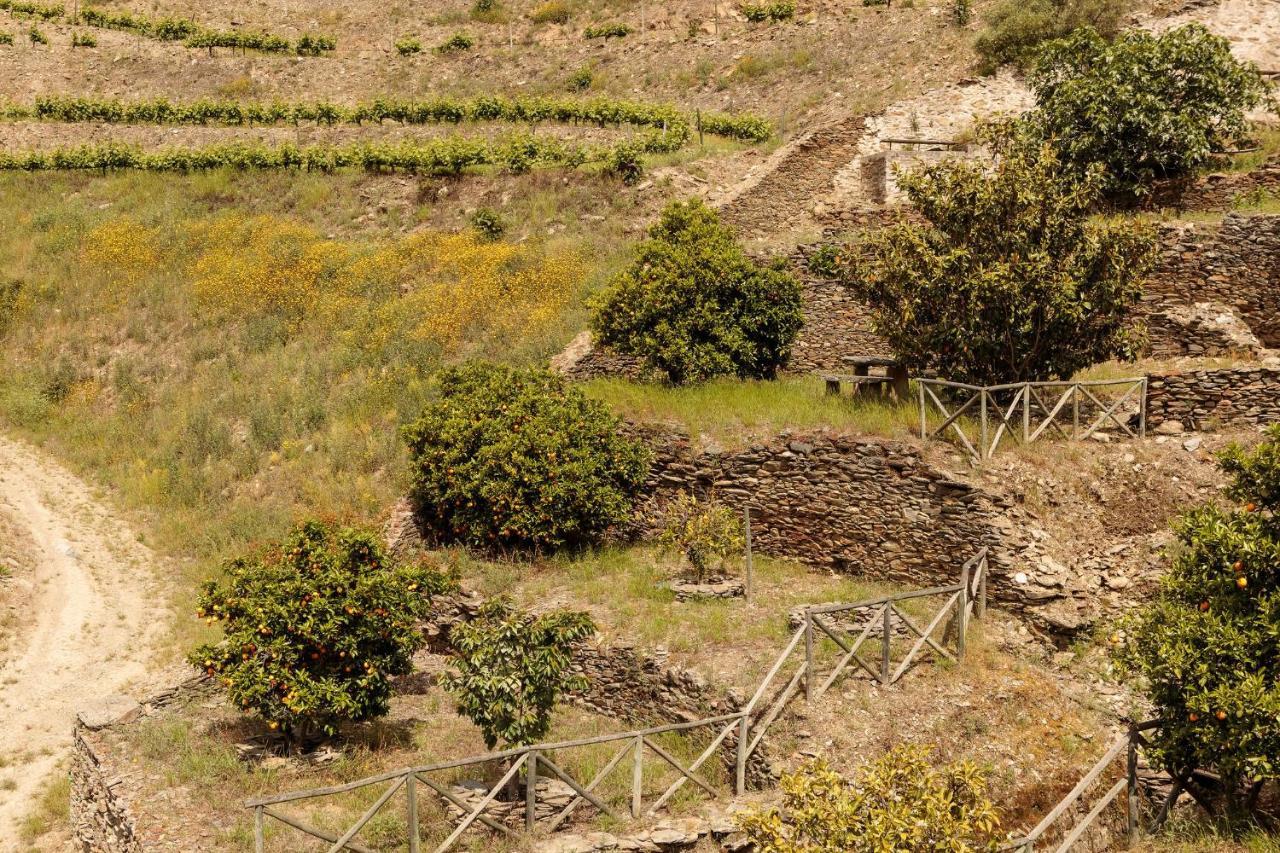 Quinta Nova Winery House - Relais & Chateaux 皮尼昂 外观 照片