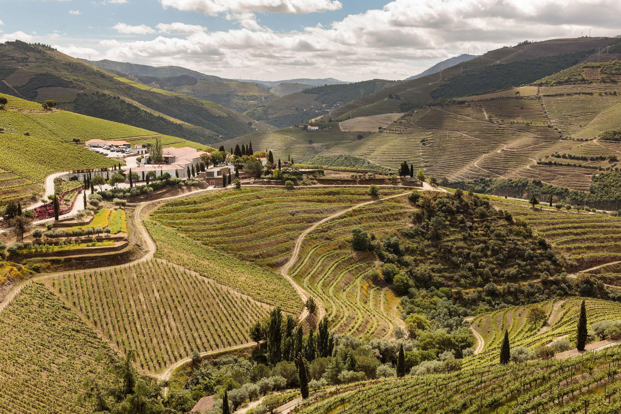 Quinta Nova Winery House - Relais & Chateaux 皮尼昂 外观 照片